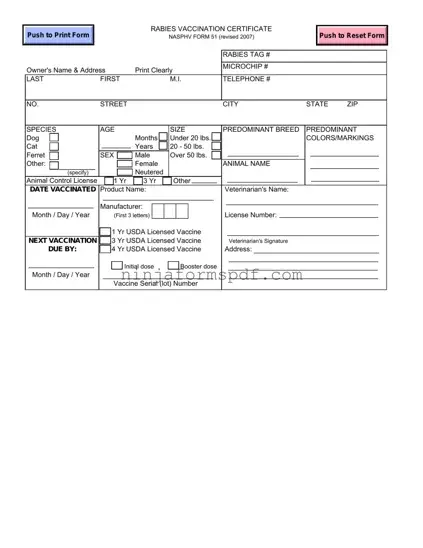 Rabies Certificate Form